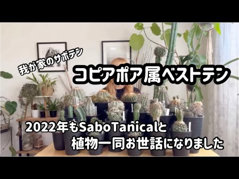 Top 10 favorite Copiapoa species and a look back at 2022] Video