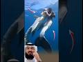 شاهد ما لم تره من قبل في عالم البحار حقيقة     