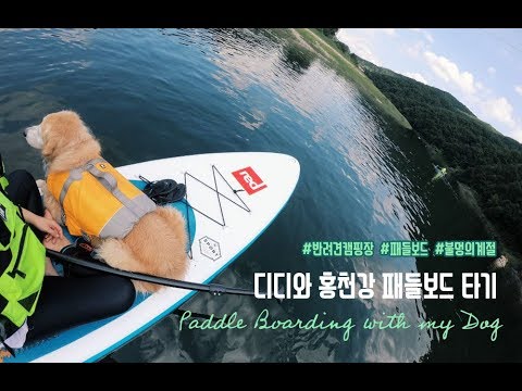 멍스카우트2기🐶Camping &amp;amp; paddleboarding with dogs🏄🏻‍♀️홍천강 패들보드🏕요세미티캠프 2박3일