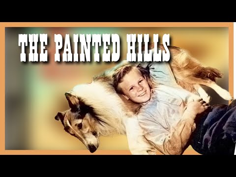 THE PAINTED HILLS