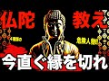 ブッダが語った65歳以降付き合ってはいけない「4種類の人」とは!?ブッダが語った教え