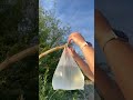 survival bushcraft skills survival bushcraft camping outdoors forest #viralvideo #survive