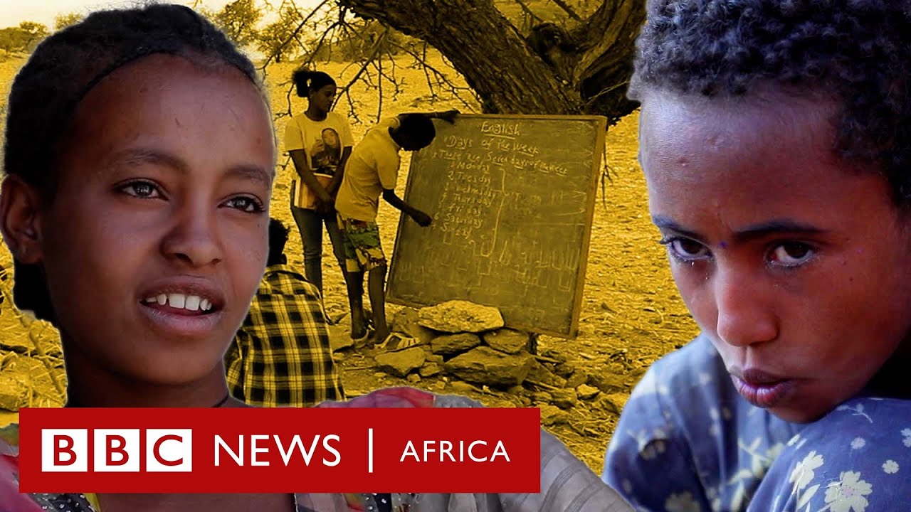‘We dropped out of school to feed our families’ – BBC Africa