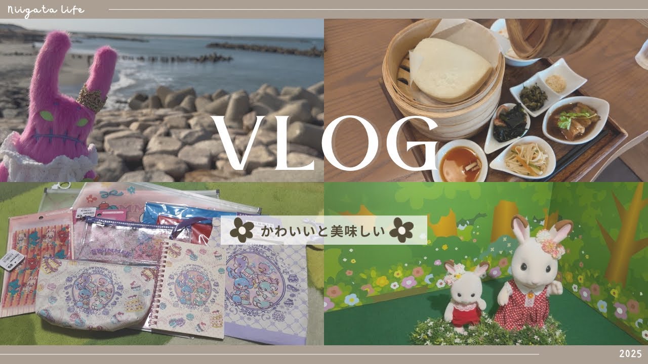 【vlog】かわいいと美味しいで元気回復💖シルバニア展40th新潟🐰Seria SWIMMER🧸購入品紹介