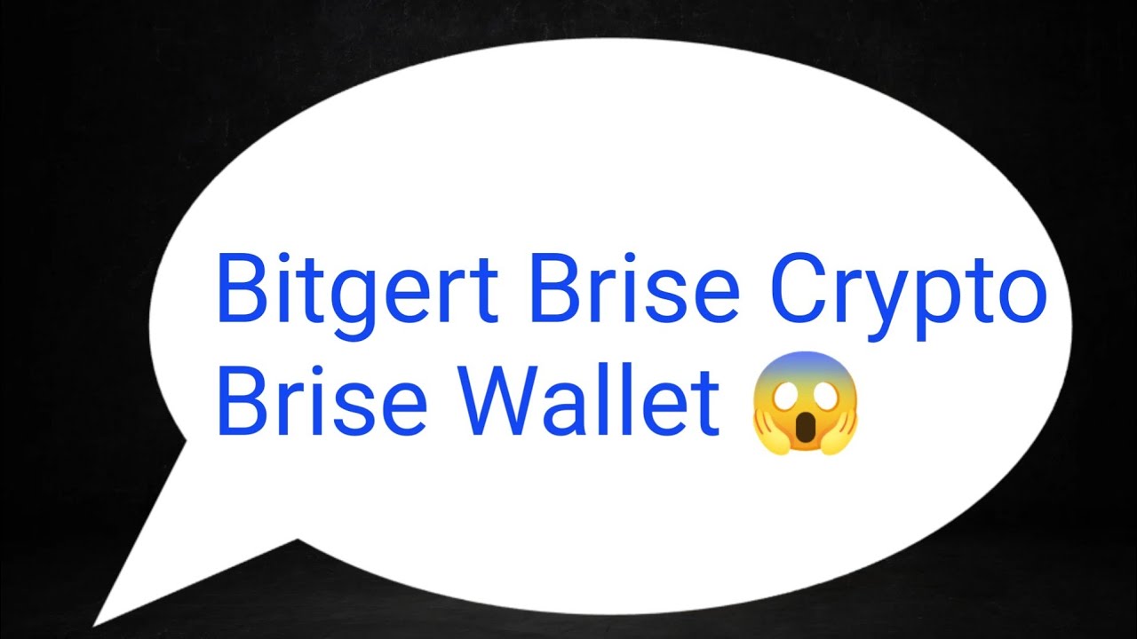 Bitgert Brise has to say something about its Brise Wallet 😱| Bitgert Brise Cryptocurrency | BRC20