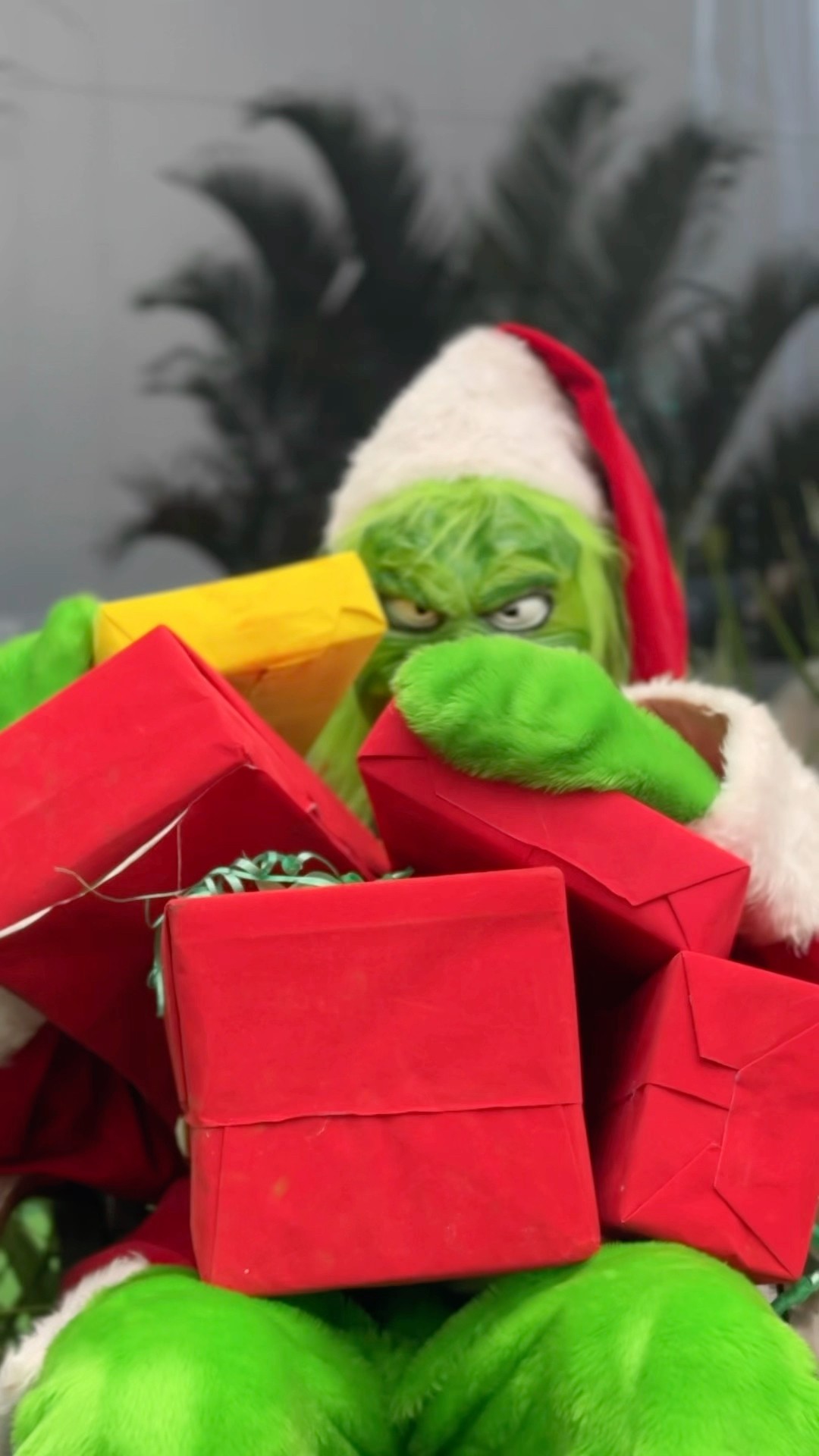 Grinch voltou