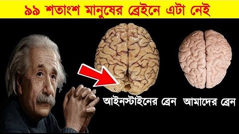 আইনস্টাইনের ব্রেইন কেটে কি পাওয়া গেলো?How Einstein