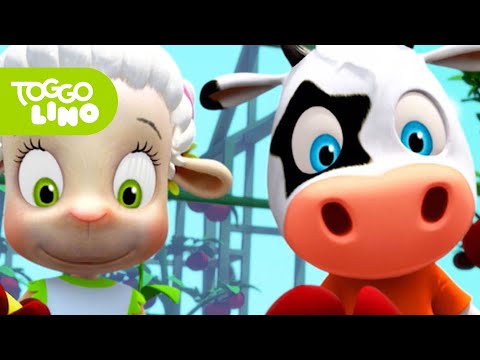 Toggolino und das Blumenbeet | Abenteuer mit Toggolino