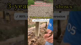 Super Useful Geotextile, Suitable For Construction Sites, Homes, Courtyards, And More