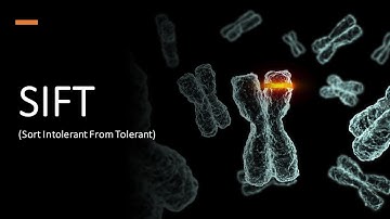 SIFT (Sort Intolerant From Tolerant)