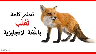 ثعلب باللغة الإنجليزية l سلسلة أسماء الحيوانات بالإنجليزية