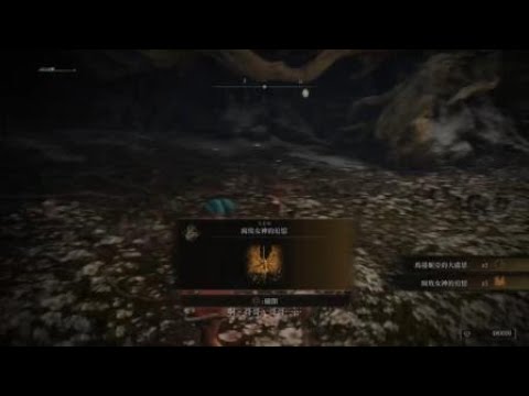 Elden Ring - 女武神 瑪蓮妮亞 近戰全裸 純翻滾 Lv77 無盾 無獵犬步伐 無骨灰 無出血 無凍傷solo （初輪）