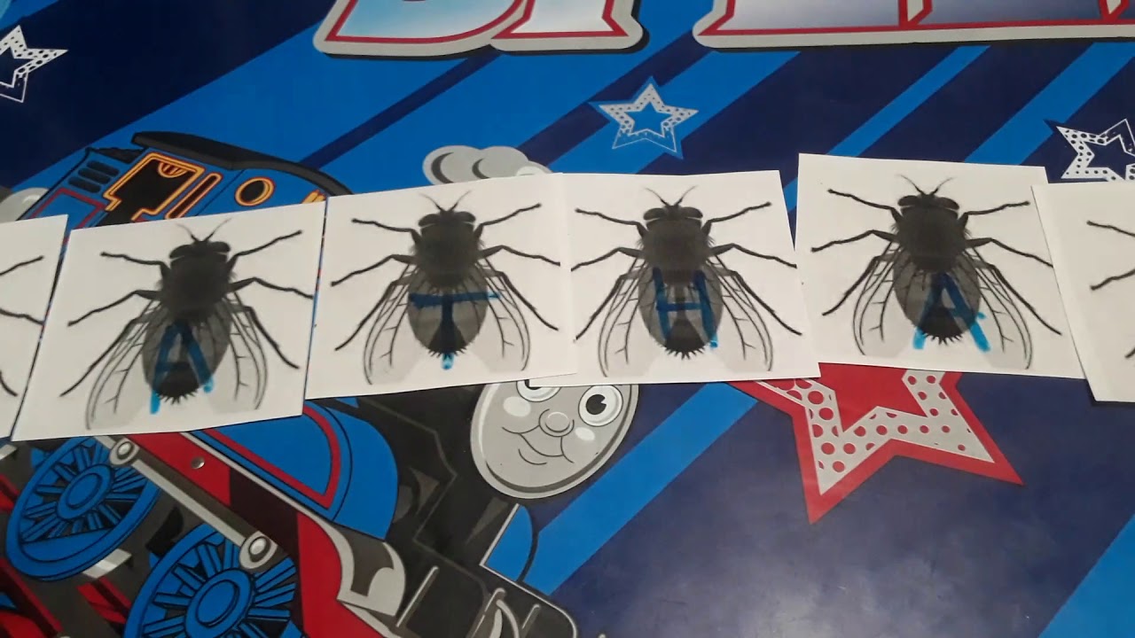 DIY Bug Theme Activities