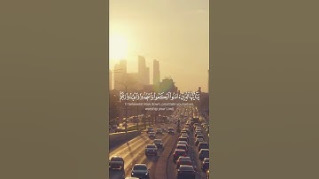 سورة الحج الأية 77