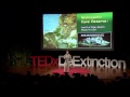 Rewilding, Ecological Surrogacy, and Now... De-extinction?: David Burney at TEDxDeExtinction