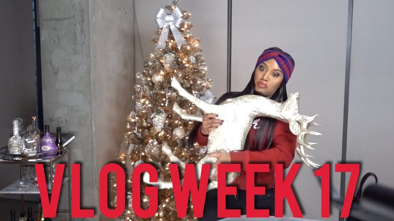 Vlog Week 17: Vlogmas 2017 Intro & Morning Workouts | MakeupShayla