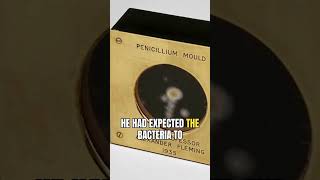 Full In 1928, Alexander Fleming found mold killing staph bacteria, accidentally discovering penicillin. Guide
