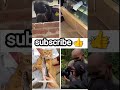 #video #comedyshorts #comedy
