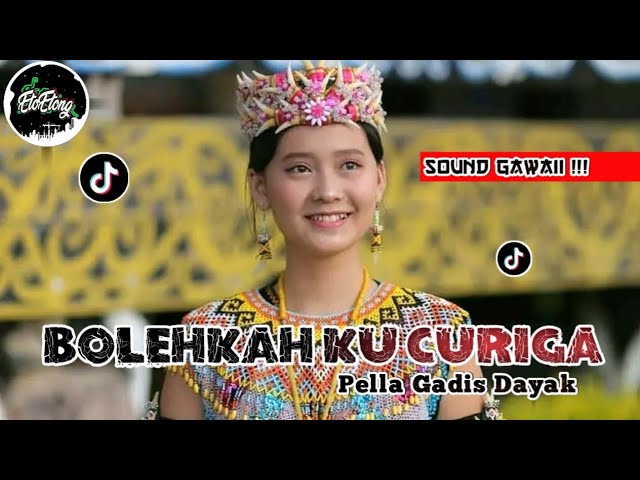 SOUND GAWAI - BOLEHKAH KU CURIGA ( PELLA GADIS DAYAK ) MIXBAND class=