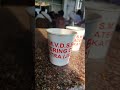 Vaishno Devi Langer Tea SMVD #shineboard #jaimatadi