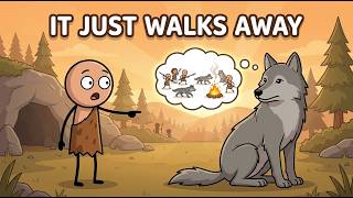 Why Wolves Rarely Attack Humans
