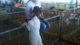 October FFA meeting slideshow