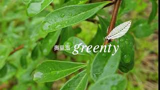 Greenty Aurature Flower