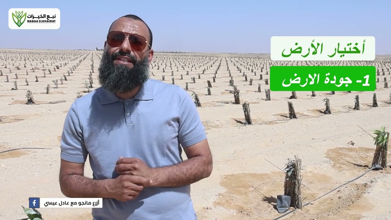 الخطوات الصحيحة لشراء قطعة أرض للاستثمار الزراعي