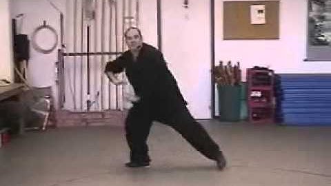 Pa Kua - Palm Changes - Spinning Body Palm - Right Side