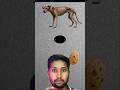 Guess Karo! Kya roti sahi jagah jayegi? 🤔 Puzzle challenge!#DogChallenge #PuzzleGame #BrainTeaser
