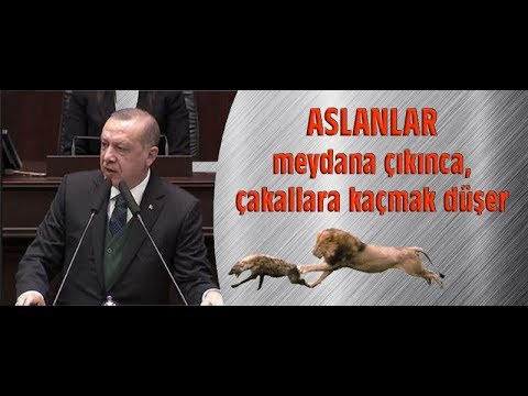 Aslanlar meydana çıkınca, çakallara kaçmak düşer