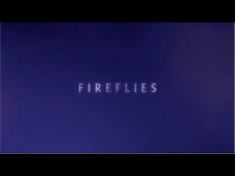 Fireflies