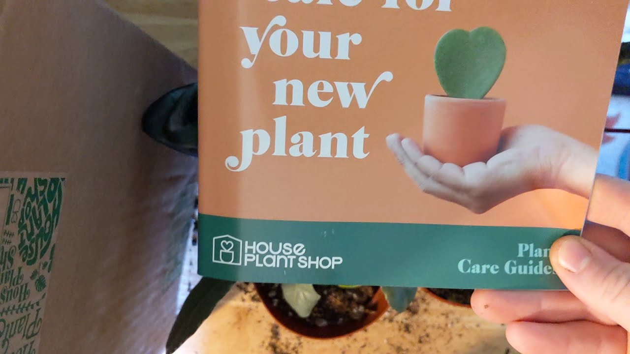 Houseplant Unboxing / YouTube