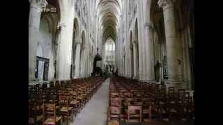 LES CATHÉDRALES DÉVOILÉES