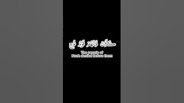 عندما تُتلى آيات الله، يصبح الزمان والمكان في صمت، وكأن الكون كله يسبح في جلال كلماته