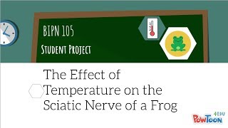 BIPN 105: Temperature and the Sciatic Nerve