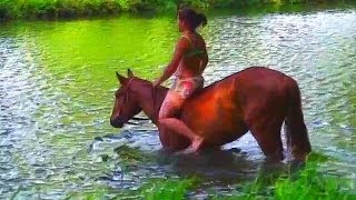 Horses swim with  girl pt2 by Global World Entertainment 11,673 views 9 years ago 2 minutes, 22 seconds