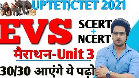 UPTET/CTET 2021 महा-मैराथन Class,live 8pm Sachin choudhary