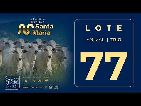 LOTE 77  FSMA 2810 2847 2858