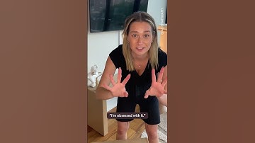 The Cutest Cat Window Hammock