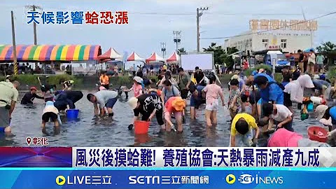 頻飆高溫又暴雨 產地文蛤量剩一成恐漲價 風災後摸蛤難! 養殖協會:天熱暴雨減產九成│記者 許書維 李建瑩 陳秉豪│【新聞一把抓】20240811│三立新聞台 - 天天要聞