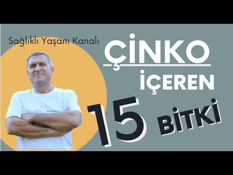 ÇİNKO NELERDE BULUNUR I ÇİNKO İÇEREN BESİNLER