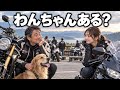 おじさんとバイク女子は「ワンチャンある」のか？