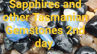 Sapphires and other Tasmanian Gemstones North East Tasmania 2nd Day