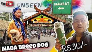 NAGA কুকুৰৰ মৰমলগা পোৱালী NAGA BREED DOG !! just Rs.30  || NAGABAT HAAT BAZAR || viral