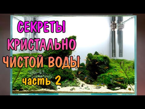 СЕКРЕТЫ КРИСТАЛЬНО ЧИСТОЙ ВОДЫ. ЧАСТЬ 2