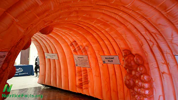 Proč je amoniak toxickou pro mozek?