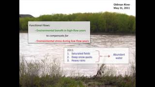 Functional Environmental Flows: A Practical Strategy for Healthy Rivers