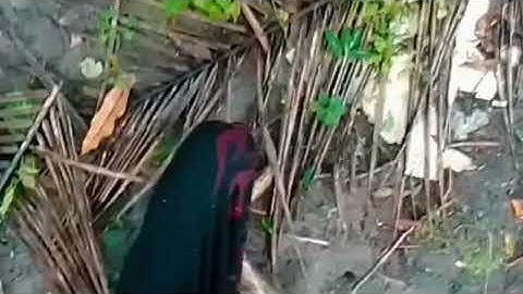 Aku ora ngerti carane nyunting