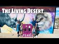 California Travel The Living Desert Zoo and Gardens